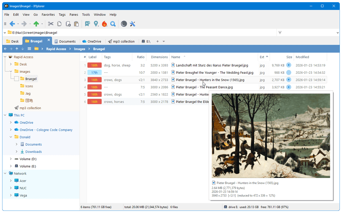 XYplorer Advanced File Manager